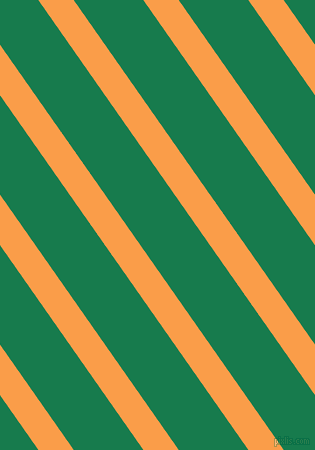 125 degree angle lines stripes, 29 pixel line width, 57 pixel line spacing, Sunshade and Salem angled lines and stripes seamless tileable