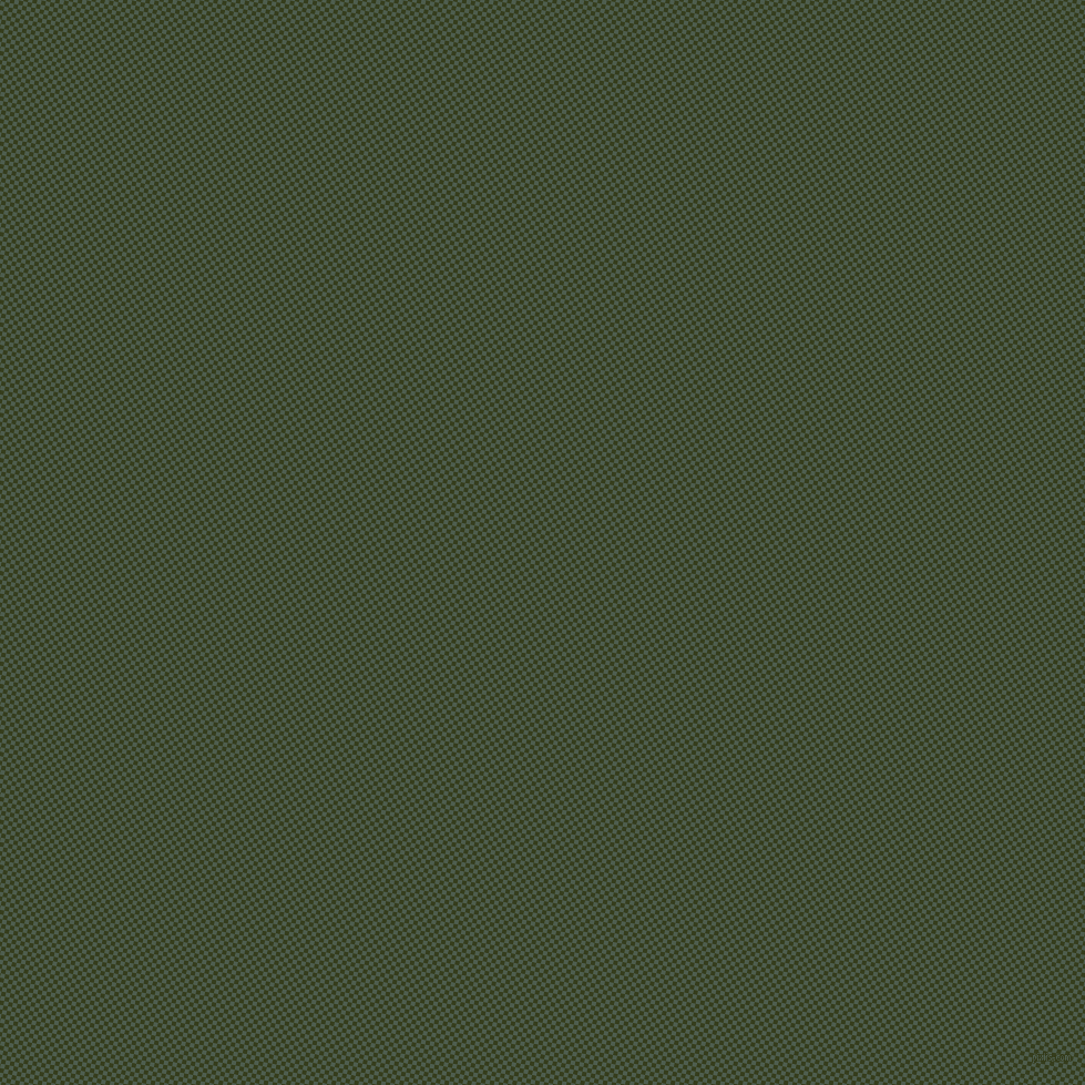 79/169 degree angle diagonal checkered chequered squares checker pattern checkers background, 4 pixel squares size, , Nandor and Turtle Green checkers chequered checkered squares seamless tileable