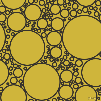 bubbles, circles, sponge, big, medium, small, 5 pixel line width, Acadia and Old Gold circles bubbles sponge soap seamless tileable