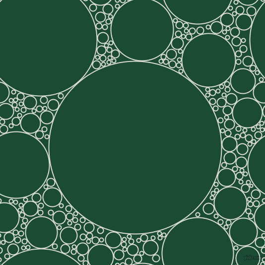 bubbles, circles, sponge, big, medium, small, 2 pixel line width, Aqua Haze and County Green circles bubbles sponge soap seamless tileable