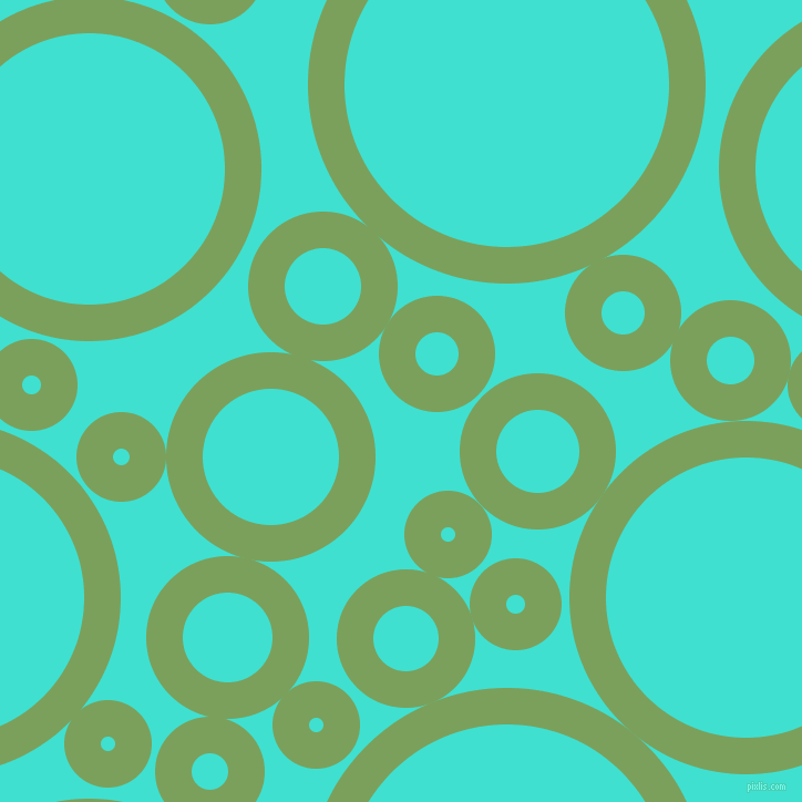 bubbles, circles, sponge, big, medium, small, 33 pixel line widthAsparagus and Turquoise circles bubbles sponge soap seamless tileable