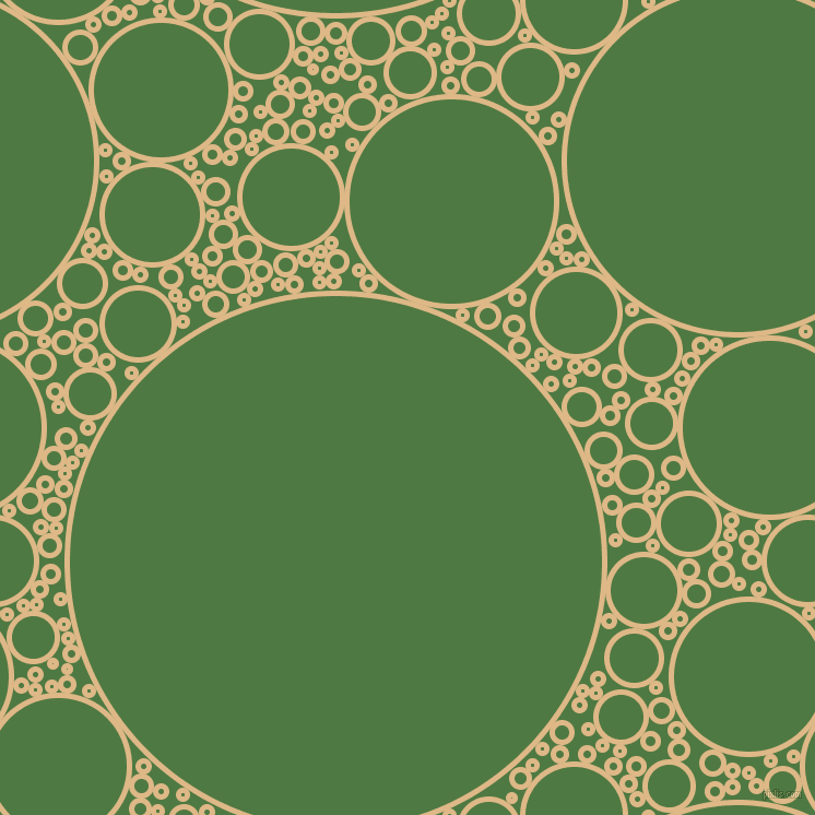 bubbles, circles, sponge, big, medium, small, 5 pixel line width, Burly Wood and Fern Green circles bubbles sponge soap seamless tileable