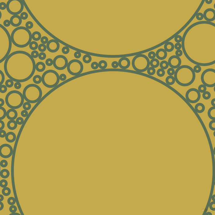 bubbles, circles, sponge, big, medium, small, 9 pixel line width, Cactus and Sundance circles bubbles sponge soap seamless tileable