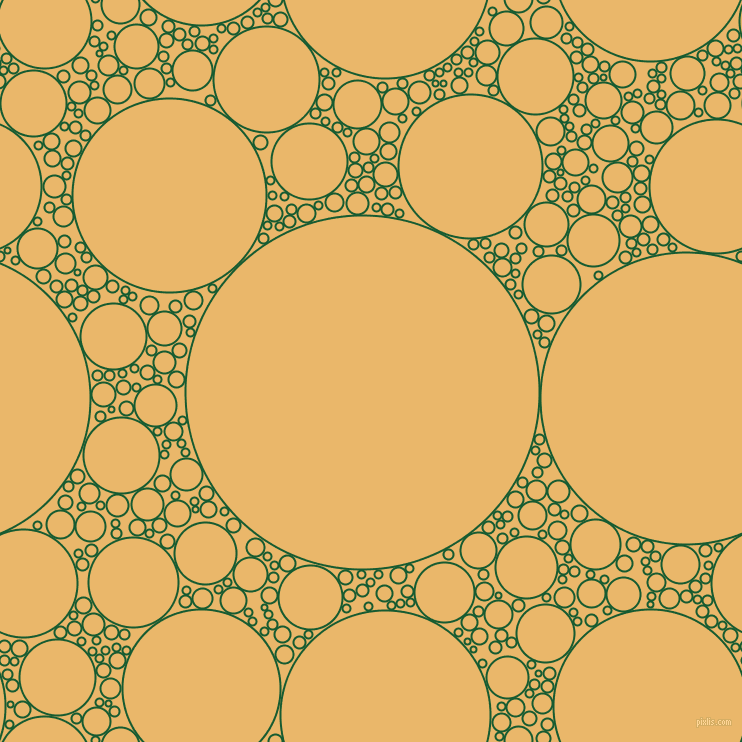 bubbles, circles, sponge, big, medium, small, 2 pixel line widthCrusoe and Harvest Gold circles bubbles sponge soap seamless tileable