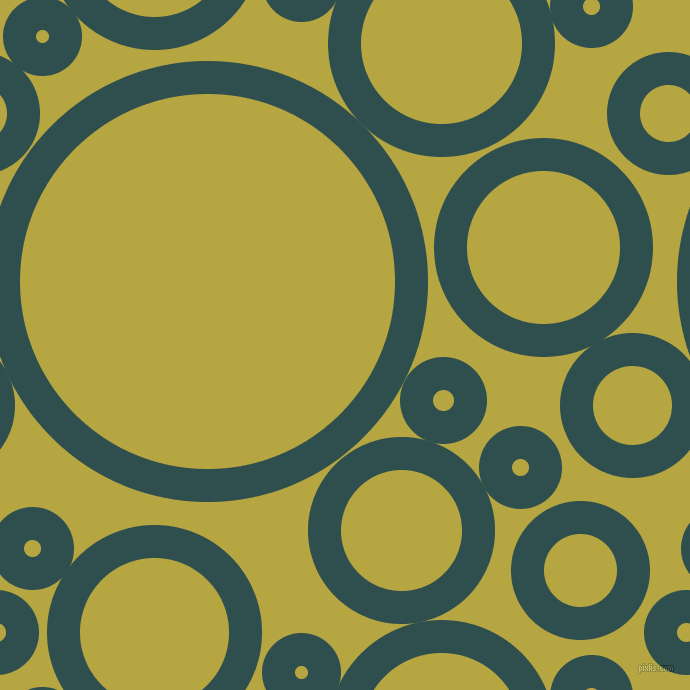 bubbles, circles, sponge, big, medium, small, 33 pixel line width, Dark Slate Grey and Brass circles bubbles sponge soap seamless tileable