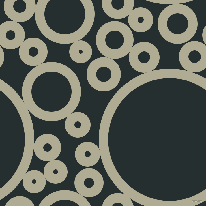 bubbles, circles, sponge, big, medium, small, 33 pixel line width, Eagle and Swamp circles bubbles sponge soap seamless tileable