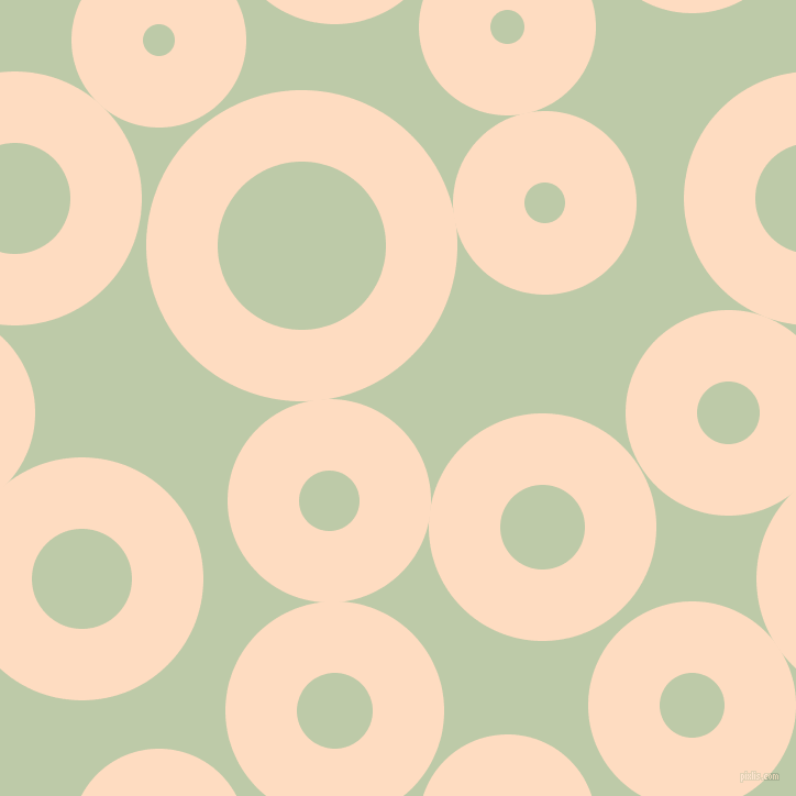 bubbles, circles, sponge, big, medium, small, 65 pixel line width, Karry and Pale Leaf circles bubbles sponge soap seamless tileable