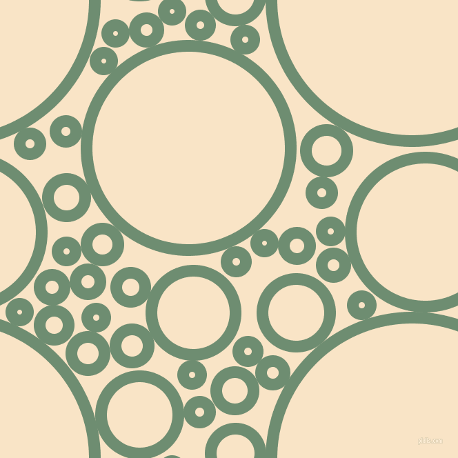 bubbles, circles, sponge, big, medium, small, 17 pixel line width, Laurel and Derby circles bubbles sponge soap seamless tileable