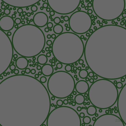 bubbles, circles, sponge, big, medium, small, 5 pixel line width, Myrtle and Dim Gray circles bubbles sponge soap seamless tileable