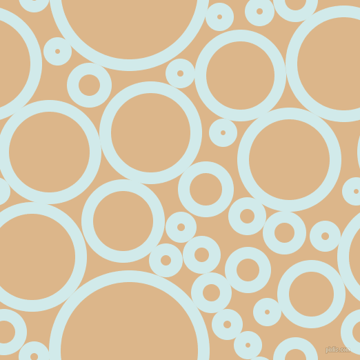 bubbles, circles, sponge, big, medium, small, 17 pixel line width, Oyster Bay and Brandy circles bubbles sponge soap seamless tileable
