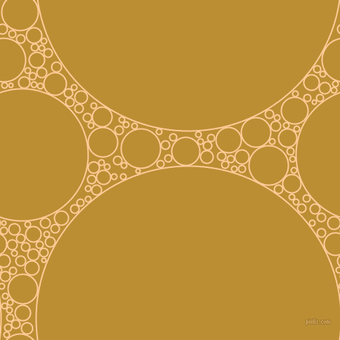 bubbles, circles, sponge, big, medium, small, 2 pixel line width, Peach-Orange and Hokey Pokey circles bubbles sponge soap seamless tileable