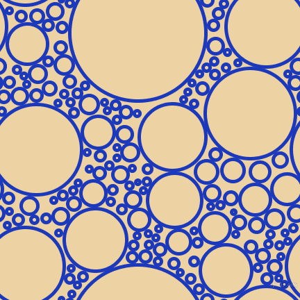 bubbles, circles, sponge, big, medium, small, 5 pixel line width, Persian Blue and Dairy Cream circles bubbles sponge soap seamless tileable