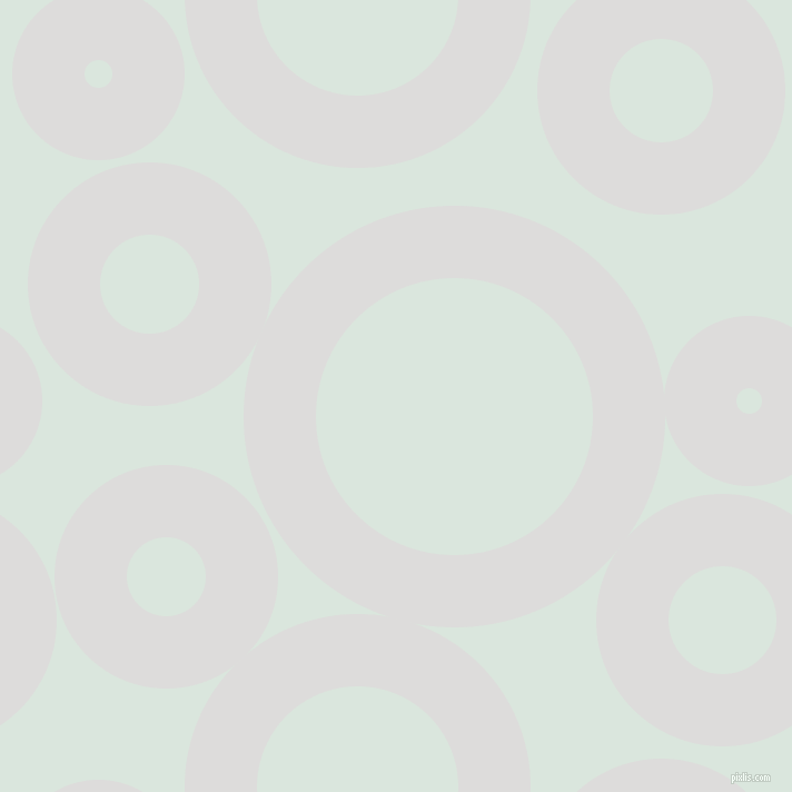 bubbles, circles, sponge, big, medium, small, 65 pixel line width, Porcelain and Swans Down circles bubbles sponge soap seamless tileable