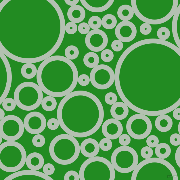bubbles, circles, sponge, big, medium, small, 17 pixel line width, Rainee and Forest Green circles bubbles sponge soap seamless tileable