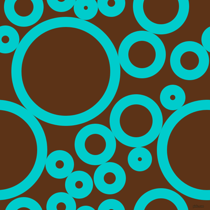 bubbles, circles, sponge, big, medium, small, 33 pixel line width, Robin
