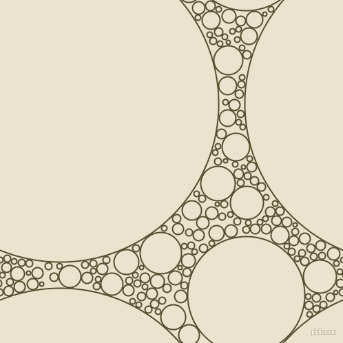 bubbles, circles, sponge, big, medium, small, 2 pixel line width, Thatch Green and Orange White circles bubbles sponge soap seamless tileable