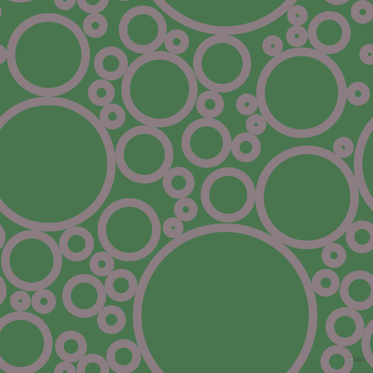 bubbles, circles, sponge, big, medium, small, 17 pixel line width, Venus and Killarney circles bubbles sponge soap seamless tileable