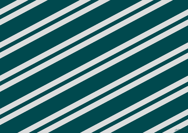 28 degree angle dual stripes lines, 17 pixel lines width, 12 and 48 pixel line spacing, dual two line striped seamless tileable