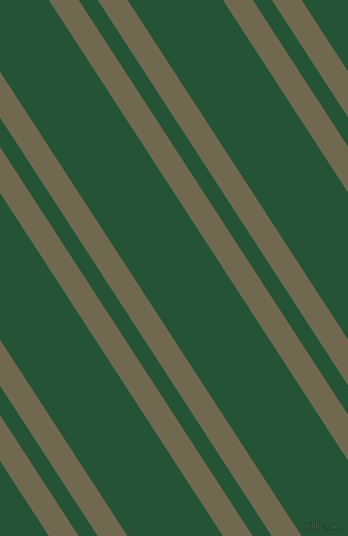 123 degree angles dual stripe line, 25 pixel line width, 16 and 80 pixels line spacing, Crocodile and Kaitoke Green dual two line striped seamless tileable