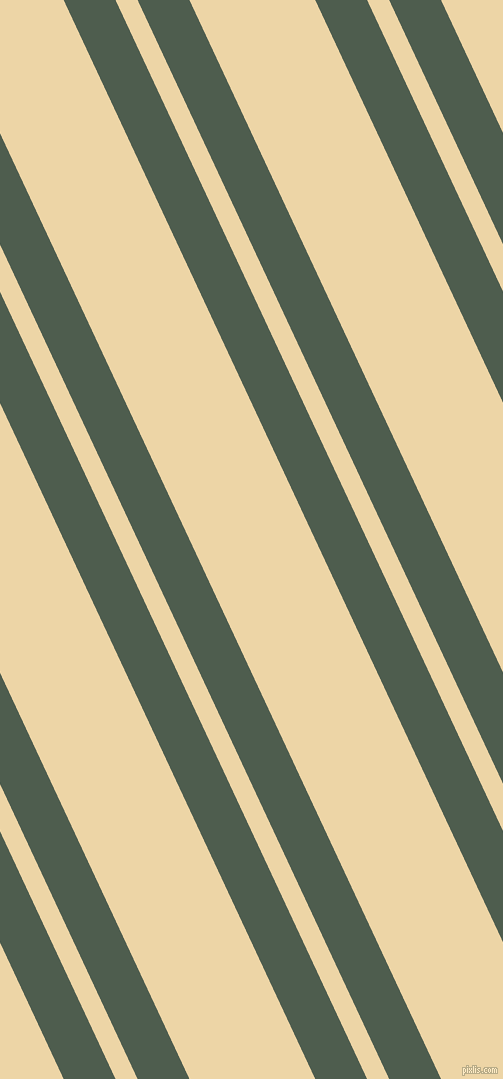 115 degree angles dual stripe lines, 47 pixel lines width, 20 and 114 pixels line spacingNandor and Astra dual two line striped seamless tileable