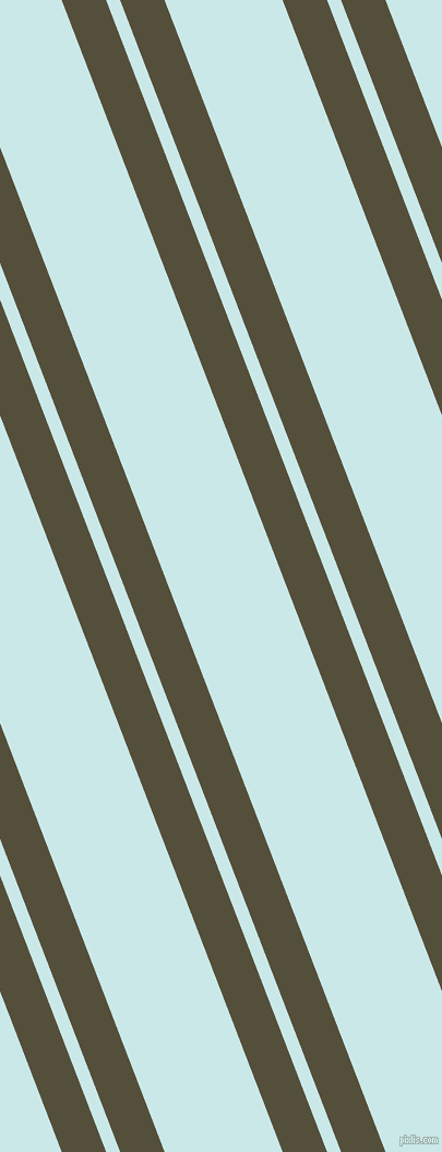 111 degree angle dual stripe line, 38 pixel line width, 12 and 101 pixel line spacing, Panda and Mabel dual two line striped seamless tileable