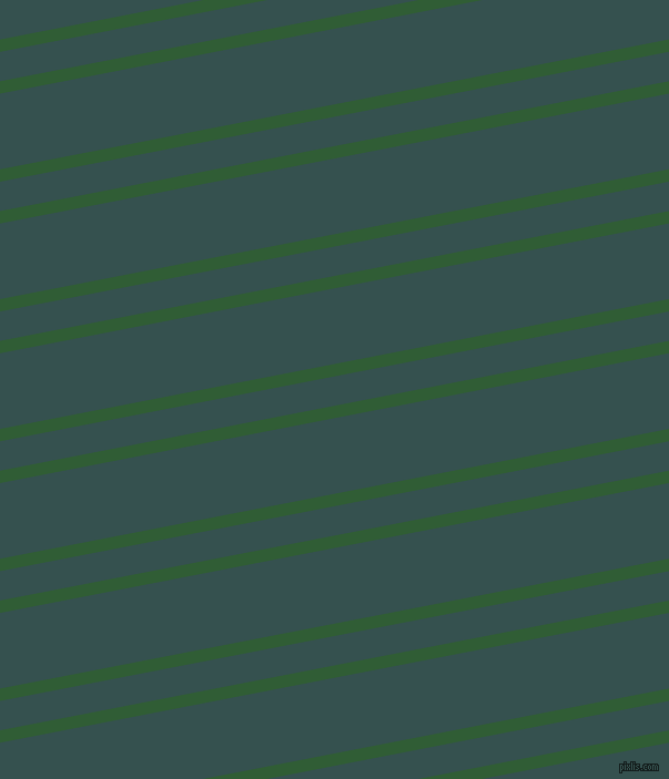 11 degree angle dual stripes lines, 11 pixel lines width, 26 and 67 pixel line spacing, Parsley and Blue Dianne dual two line striped seamless tileable
