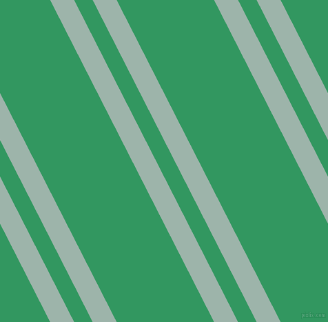117 degree angles dual stripe lines, 31 pixel lines width, 24 and 126 pixels line spacing, Skeptic and Eucalyptus dual two line striped seamless tileable