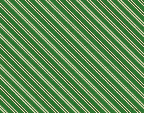 135 degree angles dual stripes line, 3 pixel line width, 4 and 15 pixels line spacing, Tuft Bush and Japanese Laurel dual two line striped seamless tileable