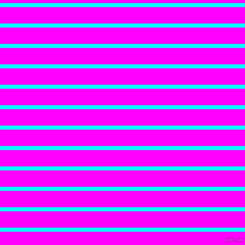 horizontal lines stripes, 8 pixel line width, 32 pixel line spacing, Aqua and Magenta horizontal lines and stripes seamless tileable
