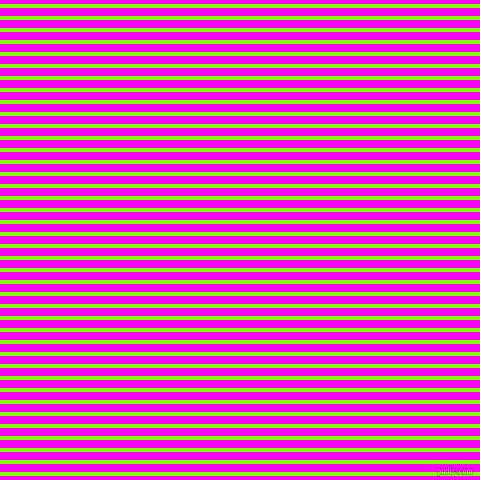 horizontal lines stripes, 4 pixel line width, 8 pixel line spacing, Chartreuse and Magenta horizontal lines and stripes seamless tileable