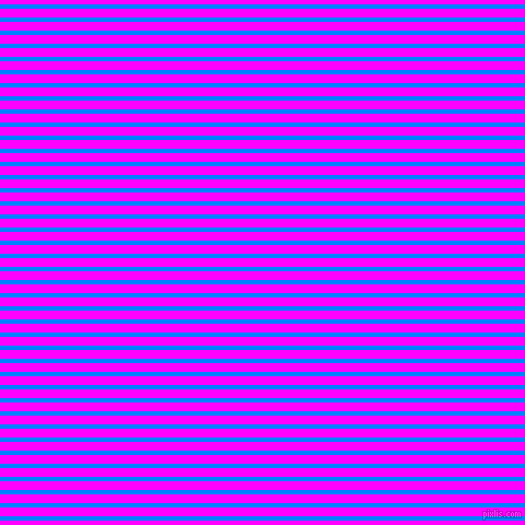 horizontal lines stripes, 4 pixel line width, 8 pixel line spacing, Dodger Blue and Magenta horizontal lines and stripes seamless tileable