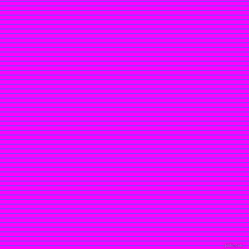 horizontal lines stripes, 1 pixel line width, 8 pixel line spacing, Dodger Blue and Magenta horizontal lines and stripes seamless tileable