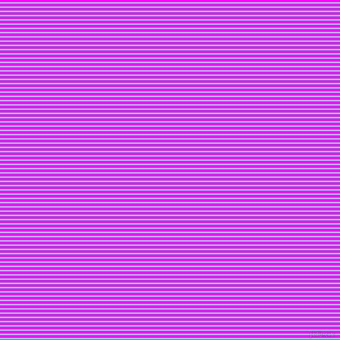 horizontal lines stripes, 2 pixel line width, 4 pixel line spacing, Electric Blue and Magenta horizontal lines and stripes seamless tileable