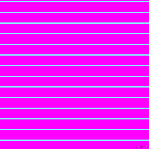 horizontal lines stripes, 4 pixel line width, 32 pixel line spacing, Electric Blue and Magenta horizontal lines and stripes seamless tileable
