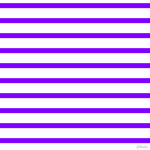 horizontal lines stripes, 16 pixel line width, 32 pixel line spacing, Electric Indigo and White horizontal lines and stripes seamless tileable