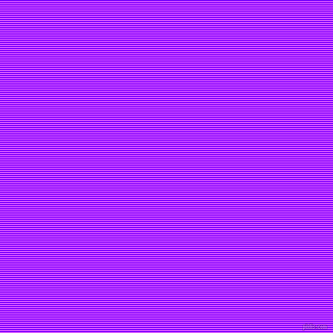 horizontal lines stripes, 1 pixel line width, 2 pixel line spacing, Fuchsia Pink and Electric Indigo horizontal lines and stripes seamless tileable
