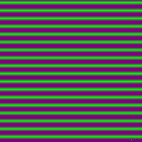horizontal lines stripes, 1 pixel line width, 2 pixel line spacing, Lime and Purple horizontal lines and stripes seamless tileable