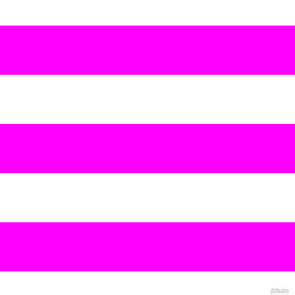 horizontal lines stripes, 96 pixel line width, 96 pixel line spacing, Magenta and White horizontal lines and stripes seamless tileable