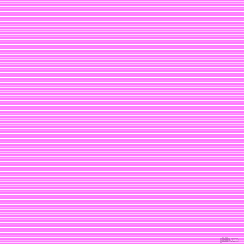 horizontal lines stripes, 1 pixel line width, 4 pixel line spacing, White and Fuchsia Pink horizontal lines and stripes seamless tileable