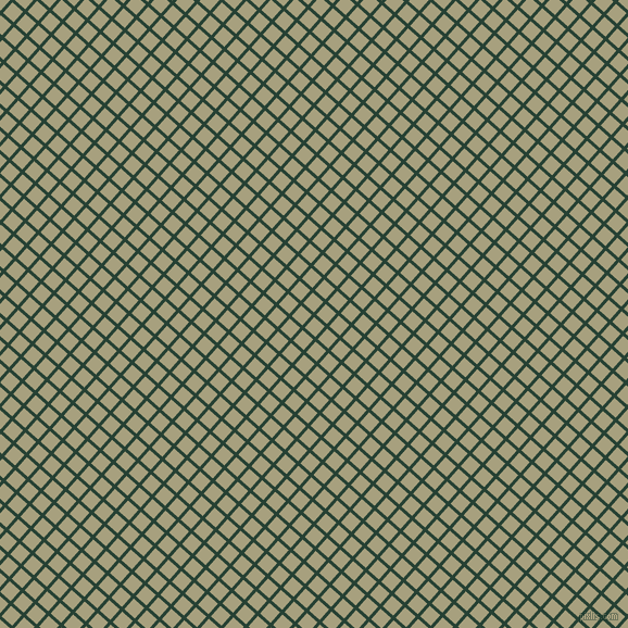 48/138 degree angle diagonal checkered chequered lines, 3 pixel line width, 13 pixel square size, English Holly and Hillary plaid checkered seamless tileable