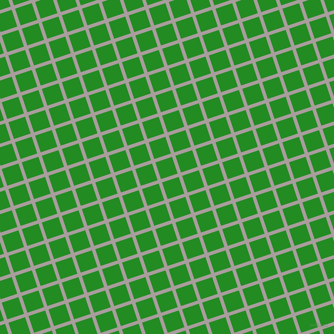 18/108 degree angle diagonal checkered chequered lines, 7 pixel line width, 35 pixel square size, Nobel and Forest Green plaid checkered seamless tileable