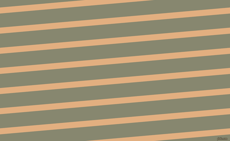 5 degree angle lines stripes, 21 pixel line width, 49 pixel line spacing, Manhattan and Schist stripes and lines seamless tileable