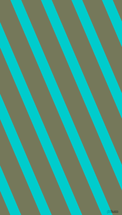 113 degree angle lines stripes, 32 pixel line width, 58 pixel line spacingRobin's Egg Blue and Finch stripes and lines seamless tileable