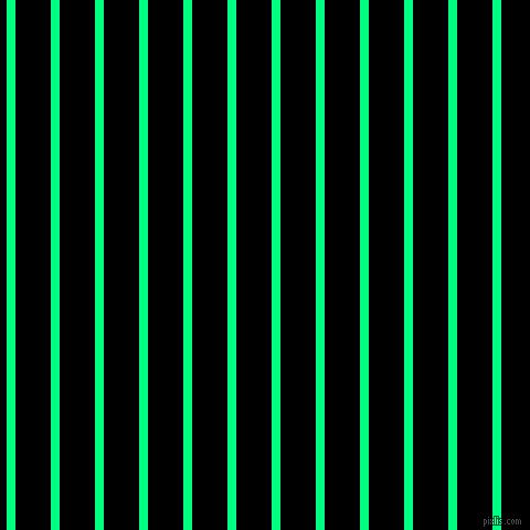 vertical lines stripes, 8 pixel line width, 32 pixel line spacing, Spring Green and Black vertical lines and stripes seamless tileable