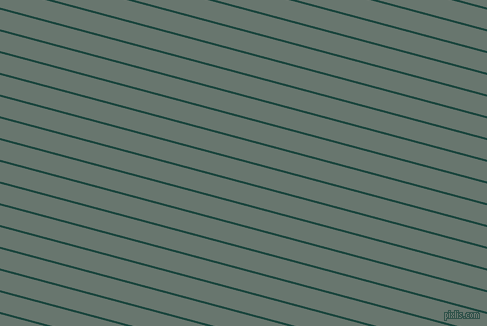 165 degree angle lines stripes, 2 pixel line width, 19 pixel line spacing, angled lines and stripes seamless tileable