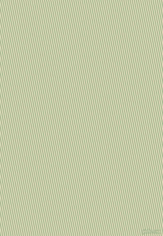 101 degree angle lines stripes, 2 pixel line width, 2 pixel line spacing, angled lines and stripes seamless tileable