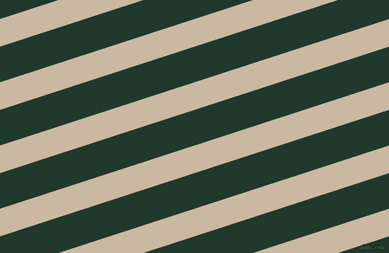 18 degree angle lines stripes, 38 pixel line width, 49 pixel line spacing, angled lines and stripes seamless tileable