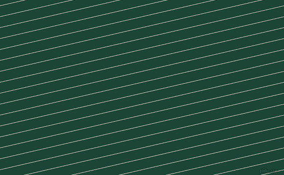 13 degree angle lines stripes, 1 pixel line width, 20 pixel line spacing, angled lines and stripes seamless tileable