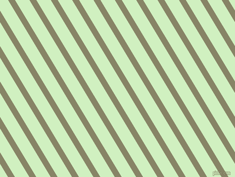 121 degree angle lines stripes, 12 pixel line width, 25 pixel line spacing, Bandicoot and Tea Green angled lines and stripes seamless tileable