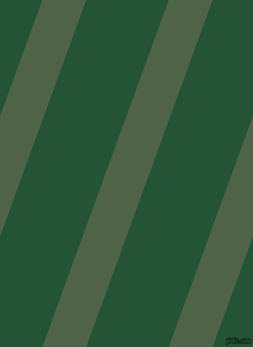 70 degree angle lines stripes, 59 pixel line width, 111 pixel line spacing, Tom Thumb and Kaitoke Green angled lines and stripes seamless tileable